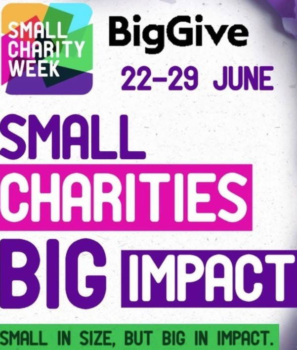 Big Give one week